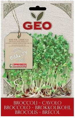 Samen für die Keimung von Brokkoli BIO 13 g GEO