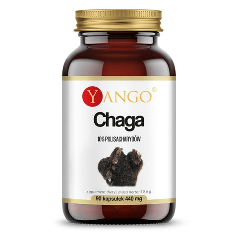 Chaga-Extrakt 10 % Polysaccharide 90 Kapseln YANGO